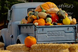 PumpkinNtruck